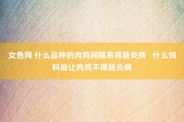 女色网 什么品种的肉鸡间隔易得肠炎病   什么饲料能让肉鸡不得肠炎病