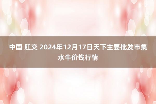 中国 肛交 2024年12月17日天下主要批发市集水牛价钱行情