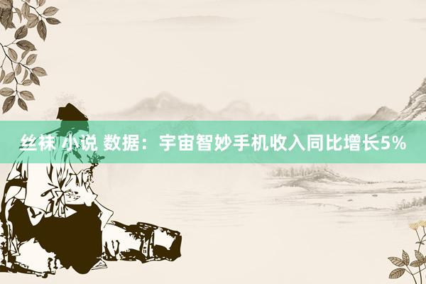 丝袜 小说 数据：宇宙智妙手机收入同比增长5%