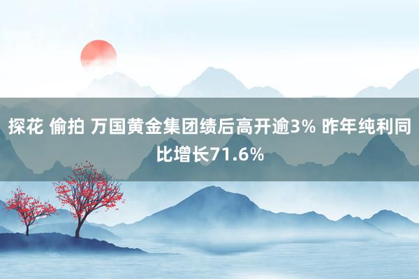 探花 偷拍 万国黄金集团绩后高开逾3% 昨年纯利同比增长71.6%