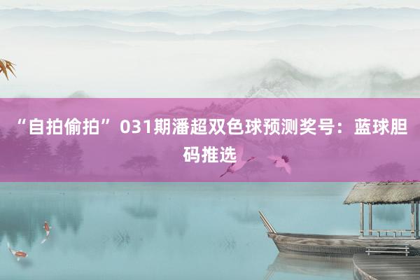 “自拍偷拍” 031期潘超双色球预测奖号：蓝球胆码推选