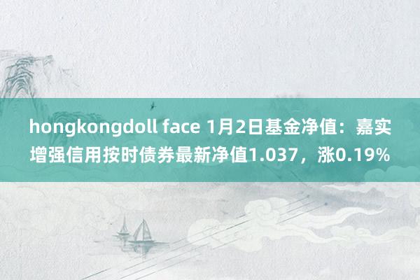 hongkongdoll face 1月2日基金净值：嘉实增强信用按时债券最新净值1.037，涨0.19%
