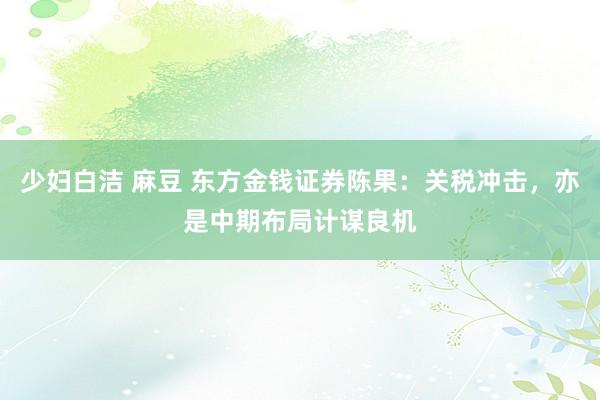 少妇白洁 麻豆 东方金钱证券陈果：关税冲击，亦是中期布局计谋良机