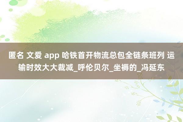 匿名 文爱 app 哈铁首开物流总包全链条班列 运输时效大大裁减_呼伦贝尔_坐褥的_冯延东