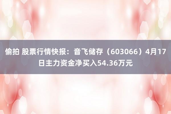 偷拍 股票行情快报：音飞储存（603066）4月17日主力资金净买入54.36万元