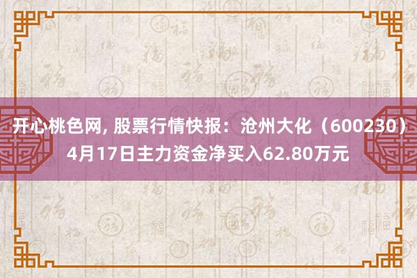 开心桃色网， 股票行情快报：沧州大化（600230）4月17日主力资金净买入62.80万元