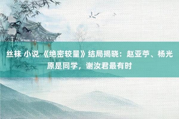 丝袜 小说 《绝密较量》结局揭晓：赵亚苧、杨光原是同学，谢汝君最有时
